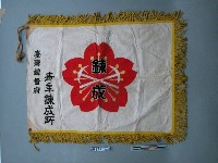 藏品(臺灣總督府青年鍊成所隊旗)的圖片